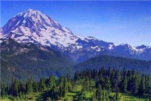 反派一等功全文免费阅读无弹窗大结局_（陈伯彦江警官）反派一等功最新章节列表笔趣阁（陈伯彦江警官）