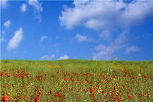 反派一等功(陈伯彦江警官)全文免费阅读大结局_反派一等功最新章节列表_笔趣阁（陈伯彦江警官）