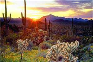 落花芳菲(花颜齐三元)全文免费阅读无弹窗大结局_落花芳菲小说全文免费阅读最新章节列表_笔趣阁(花颜齐三元)