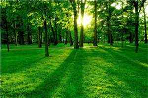 叶妍彤墨瀚泽(叶妍彤墨瀚泽)全文免费阅读无弹窗大结局_(叶妍彤墨瀚泽)叶妍彤墨瀚泽最新章节列表笔趣阁(叶妍彤墨瀚泽)