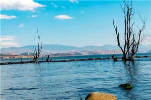 独爱的代价(独爱的代价)全文免费阅读_(独爱的代价)最新章节列表笔趣阁(独爱的代价)