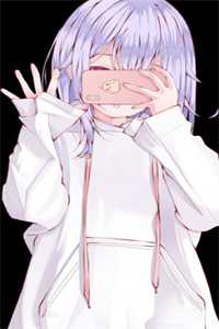 最强战婿
