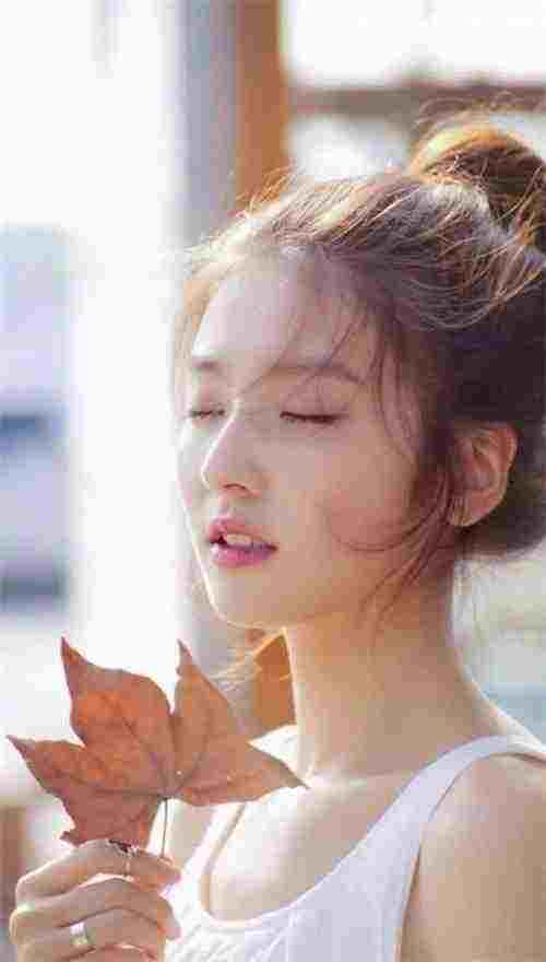 顾北念陆南辰小说免费阅读