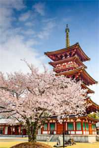 云雪尧江凌霄烂尾