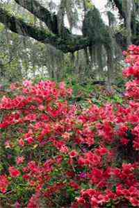 港片：起步督察，警界超新星