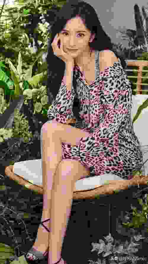 安岁容令施小说叫什么名字