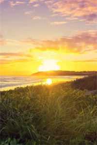 精选文离家后,父母追子火葬场了