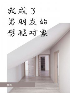 我成了男朋友的劈腿对象小说免费阅读_苏婉婉宋闻轩温迎小说大结局免费试读
