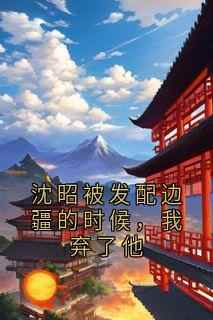 朱鸢鸢沈昭免费阅读_沈昭被发配边疆的时候，我弃了他的小说在线阅读