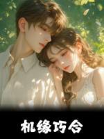 《机缘巧合》肖迎春傅辰安小说在线阅读
