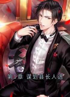 《厉元朗水婷月》小说完结版免费试读_第1章_谋划县长人选小说全文