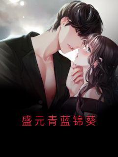 《蓝锦葵盛元青》盛元青蓝锦葵章节列表免费阅读