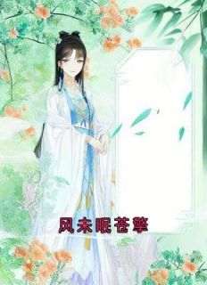 风未眠苍擎风未眠苍擎小说精彩章节免费试读