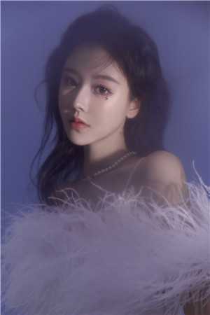 沈嘉禾李云铮的小说叫什么