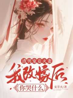 《薛念娇萧承远》免费试读_渣男宠妾灭妻，我改嫁后你哭什么小说章节目录