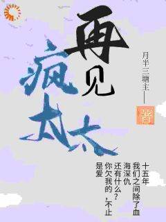 高放锦淮炙再见疯太太小说结局精彩章节全文