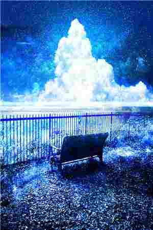 夏鸢秦默淮免费阅读