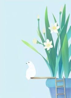 【爆款新书】解除婚约之后，前夫后悔了_吴雅欧墨渊小说全文章节在线阅读