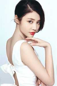 吾心往明月小说阮想周景维