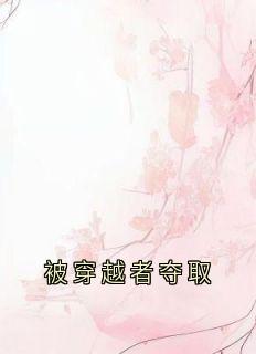 沈江月盈风小说最新章节免费阅读(完整版未删节)