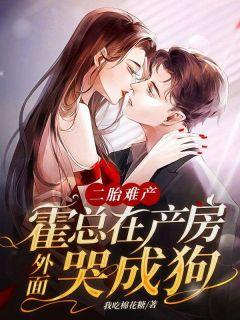 《二胎难产，霍总在产房外面哭成狗》小说章节目录在线试读_钟凌霍隽渊小说全文