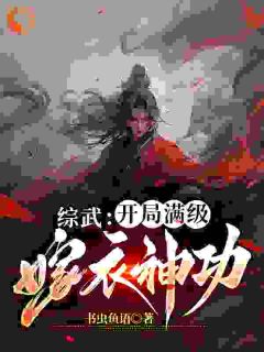 夏默夏皇综武：开局满级嫁衣神功目录_夏默夏皇小说阅读