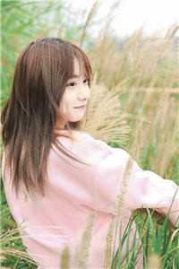 沈青青江帆的小说在线阅读