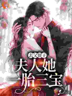 《夏凉意顾延霆》小说大结局精彩试读_去父留子，夫人她一胎三宝小说阅读