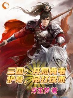 三国：开局典韦护身，吊打汉末小说免费阅读_张山典韦小说大结局免费试读