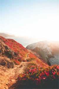 废物赘婿?不,我是战狼!