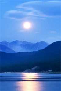 囚养玫瑰陆野孟霁小说免费