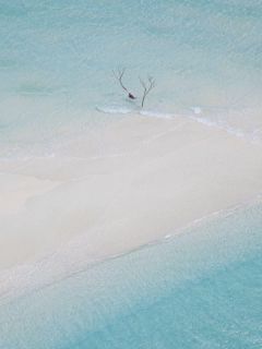 《霍申顾雪》完结版在线阅读_《霍申顾雪》最新章节目录