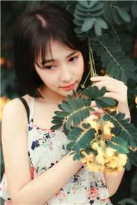 被提拔后，我走上仕途巅峰推介章节