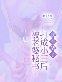 《苏宁青白景凌》全集免费在线阅读（被老婆秘书打成小三后，我不装了）