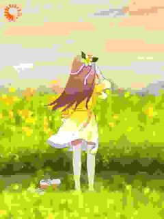 《摆烂假千金》小说全文精彩章节在线阅读（沈时沈卿卿）