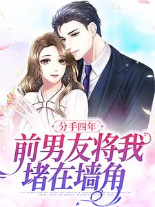 《分手四年，前男友将我堵在墙角》小说阅读_季眠沈郁小说