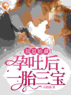 温冉宁顾衍深揣崽娇藏！孕吐后一胎三宝小说在线阅读全文章节目录完整版