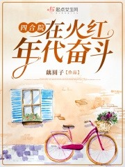 陈招娣胡梅花全文在线阅读_四合院：在火红年代奋斗全本无弹窗