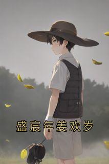 《姜欢岁盛宸年》小说主角盛宸年姜欢岁全文章节免费在线阅读