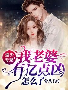《盛少专宠：我老婆有亿点凶怎么了》小说章节目录精彩阅读_易柒染盛君御小说全文