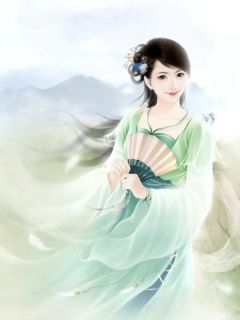 《白婕妤宋嫔》小说全集免费在线阅读（狸音）