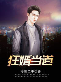 狂婿当道王劫柳珊小说全本在线阅读