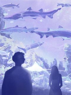 《他说这七年只是习惯没有爱》完结版精彩试读_《他说这七年只是习惯没有爱》最新章节目录