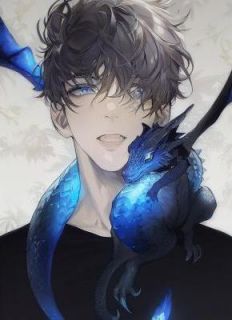 叶枫苏芸《荒岛求生,我有红粉佳人》全文及大结局精彩试读