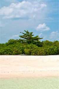 九零 趁邻家姐姐青涩 娶回家余年