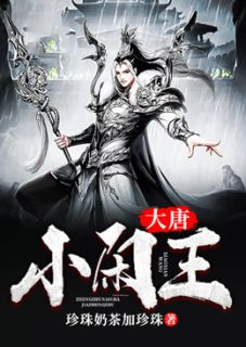 《大唐小闲王》大结局在线阅读_《大唐小闲王》最新章节目录