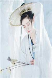 夜澜清冷意欢的小说