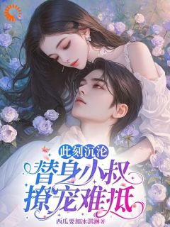 祝婉怡万奕铭此刻***，替身小叔撩宠难抵_此刻***，替身小叔撩宠难抵小说阅读