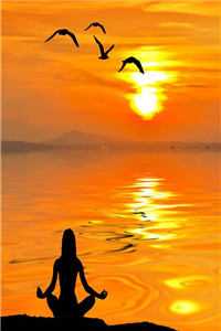 带着淘宝系统穿七零男主