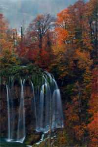 草原糙汉,我的爱爆款